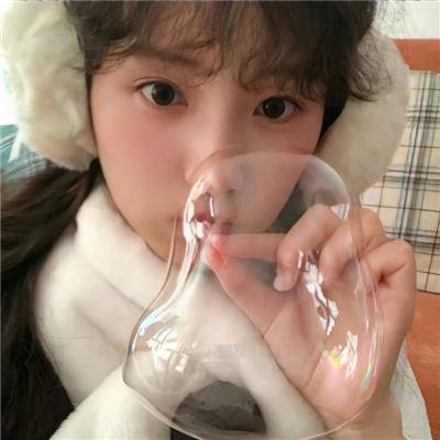 高速路上一只猫